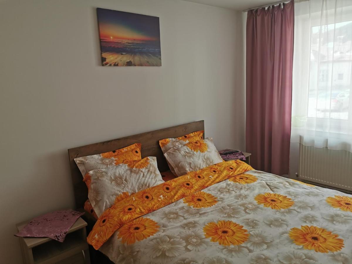 Apartament Bucovina Apartment Campulung Moldovenesc Ngoại thất bức ảnh