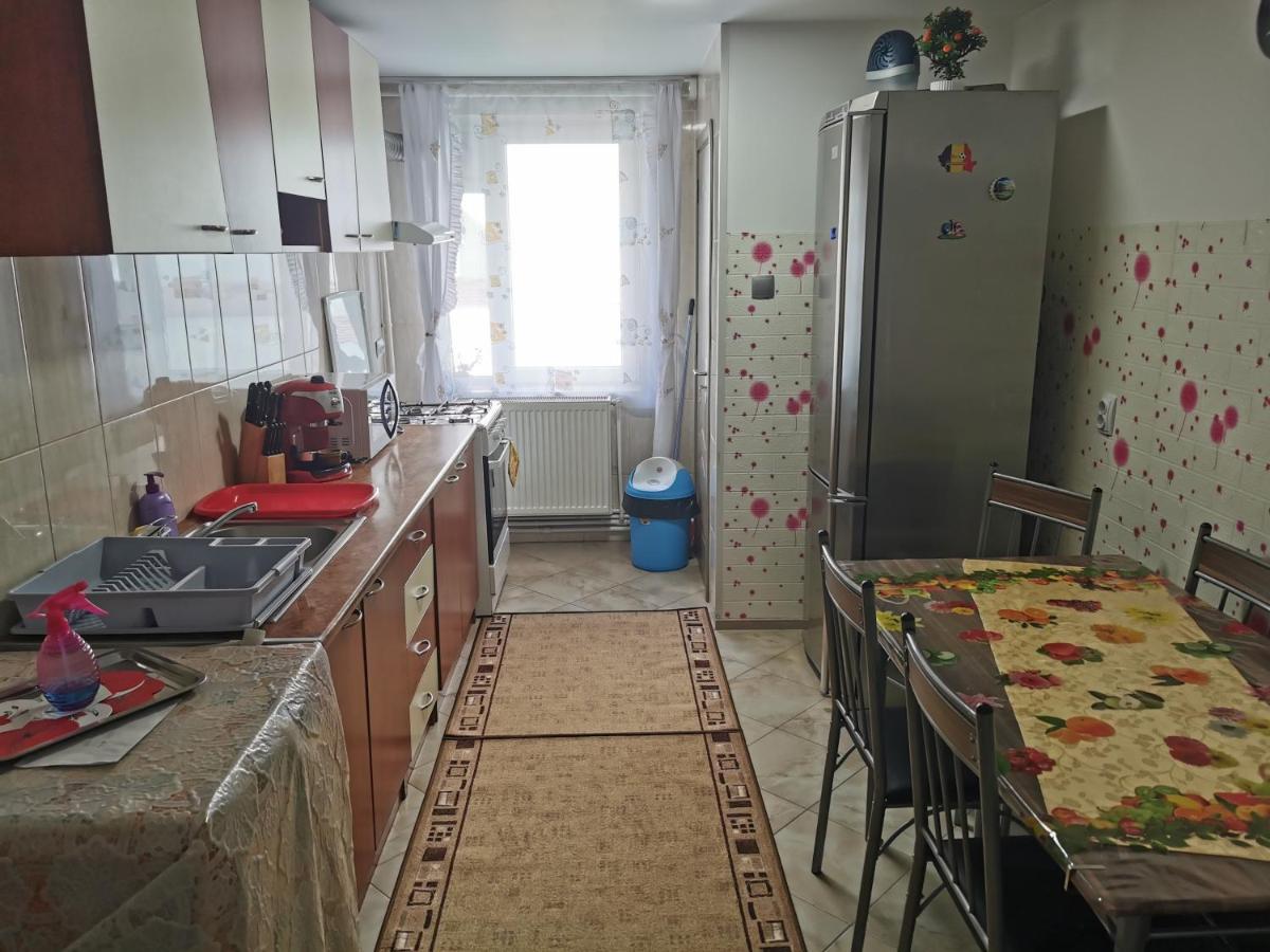 Apartament Bucovina Apartment Campulung Moldovenesc Ngoại thất bức ảnh